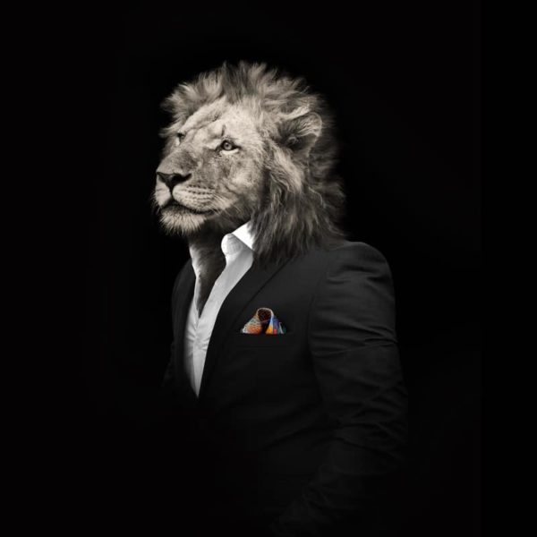 pochette costume homme soie lion